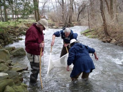 Citizen scientists may be an untapped resource for water quality improvement | Penn State University