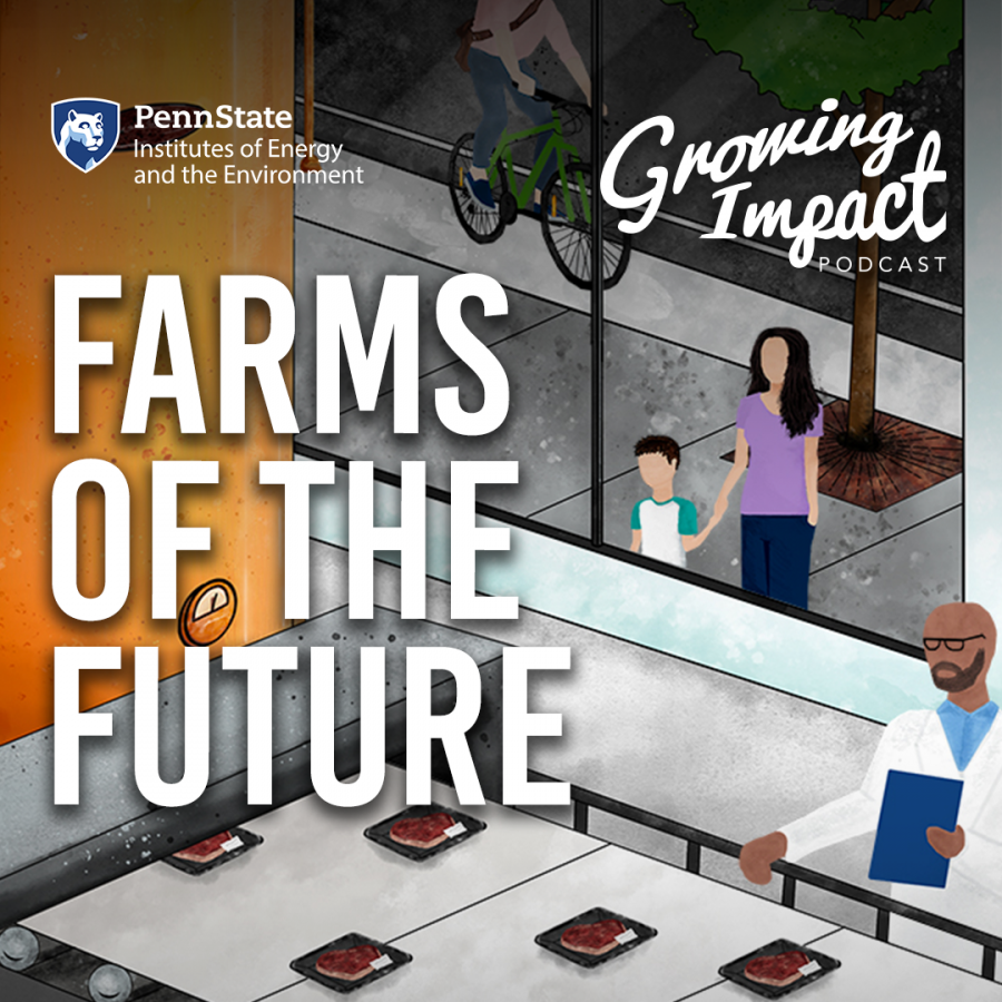 Growing Impact: Farms Of The Future | Institute Of Energy And The ...