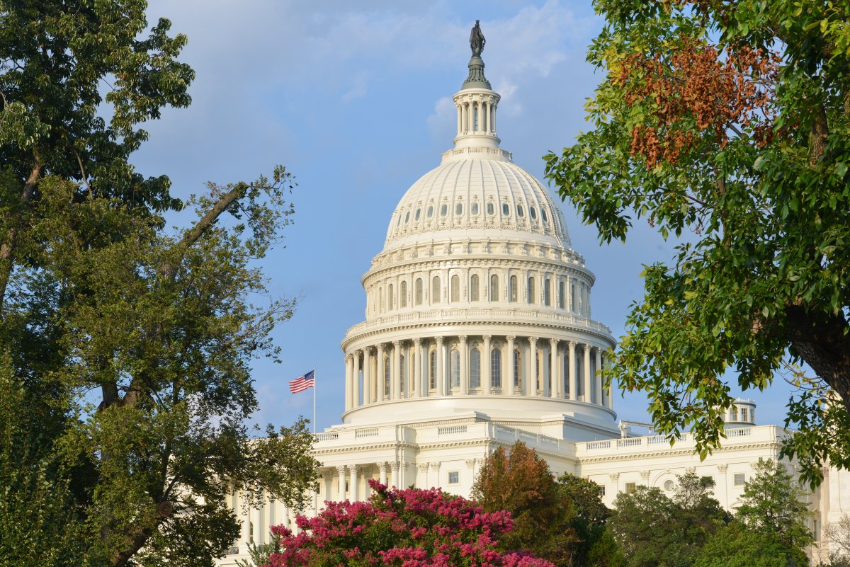 The Capitol Building in Washington D.C.