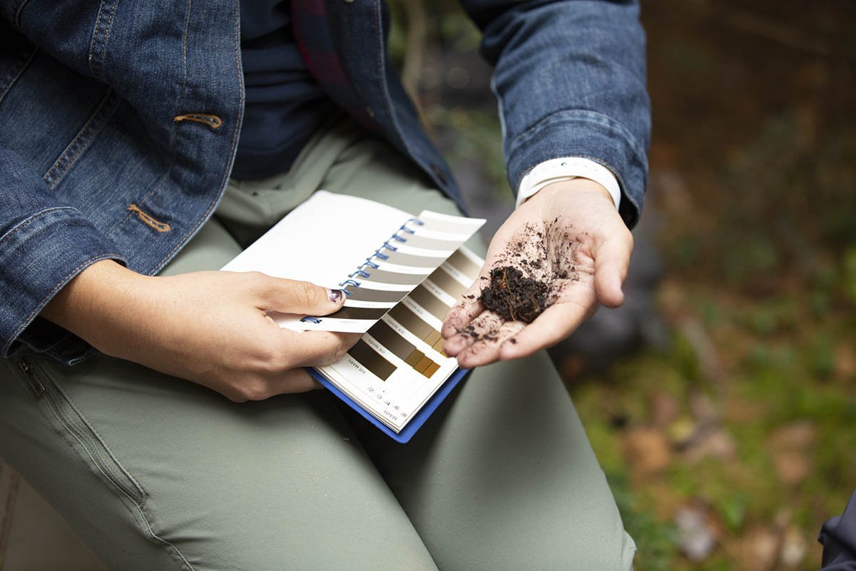 A person holding a soil sample compares it to reference colors on a card