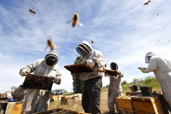 Pollinators are a cornerstone to the world around us