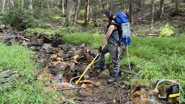 $1.95M NSF grant to fund novel study of environmental DNA fate in streams | Penn State University