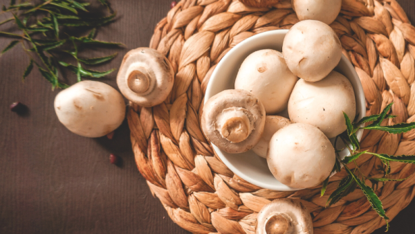 $7M grant funds project to develop new ways to protect mushroom crops | Penn State University