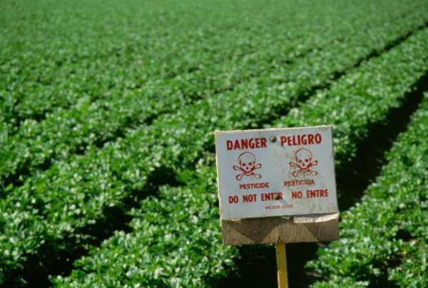 A new study found the amount of pesticides used on farms was strongly associated with the incidence of cancer.