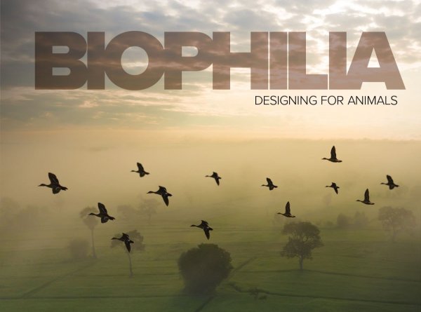 Biophilia Designing for Animals