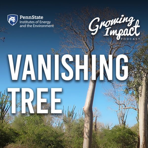 Growing Impact: Vanishing tree