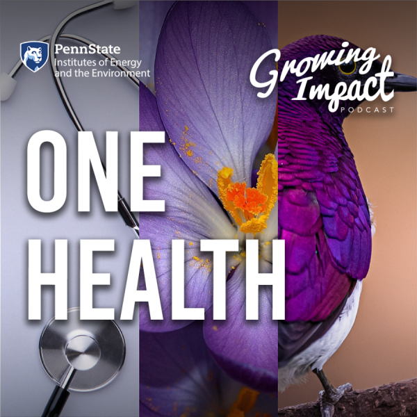 Growing Impact: One Health