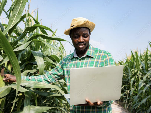 Farmer using technology as he checks crops