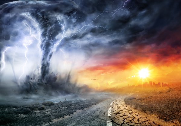 All Earth's records are being broken: "The natural cycle no longer applies"