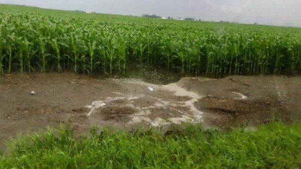 American soil losing more crop nutrients due to heavier rainstorms, study shows | Penn State University