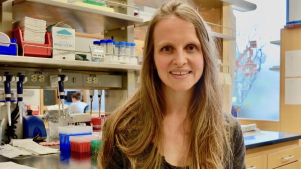 Amie Boal named Nicholas and Gelsa Pelick Family Chair in Science | Penn State University