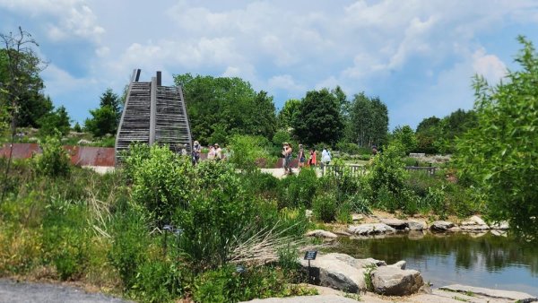 Arboretum at Penn State's Pollinator and Bird Garden wins international award | Penn State University