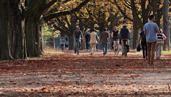 People walking and bicycling in a park during autumn. 