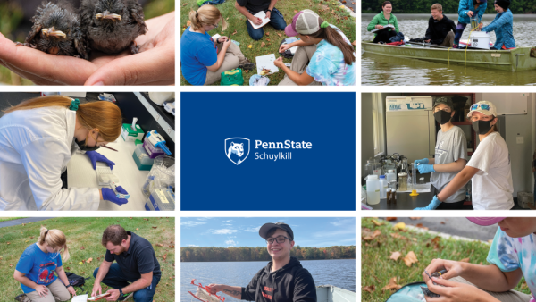 Biology fieldwork produces faculty- and student-authored research at Schuylkill | Penn State University