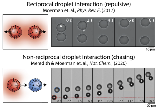 Chasing Science, Catching Collaborators