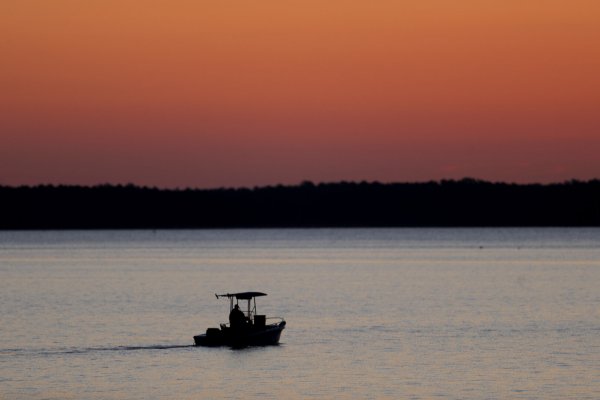 The Chesapeake Bay earns a D+ in latest report. | StateImpact Pennsylvania