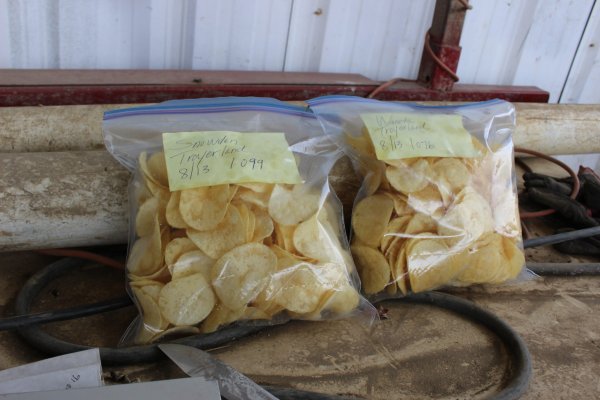 Is climate change to blame for the high cost of potato chips? We crunched the numbers - The Allegheny Front