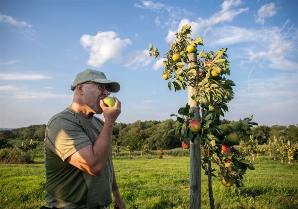 Climate change strains Pa. farmers with extreme heat, floods, droughts