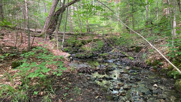 Climate plays large role in carbon release from streams, researchers find | Penn State University