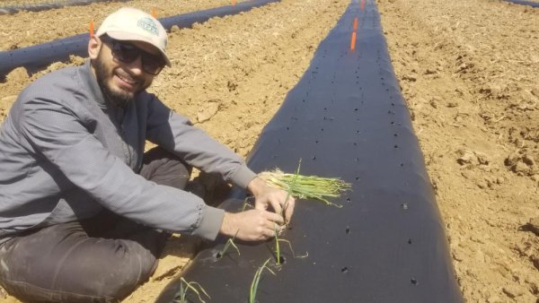 College of Ag Sciences doctoral student wins national foundation award | Penn State University