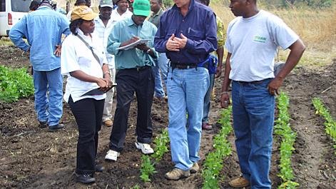 College of Agricultural Sciences professor named a top scientist by Research.com | Penn State University