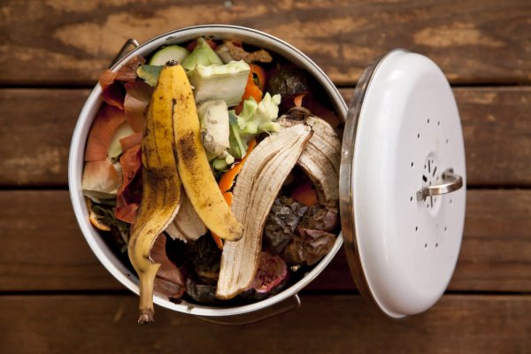 Composting electronics: How food waste can pull rare earth materials from your discarded tech