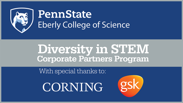 Eberly college to pilot new diversity, equity and inclusion program | Penn State University