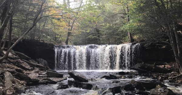 A waterfall in Ricketts Glen State Park. Marie Cusick / StateImpact Pennsylvania