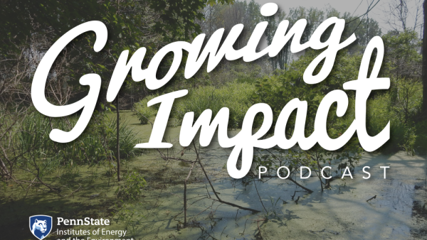 Growing Impact Podcast explores carbon stored in coastal wetlands | Penn State University