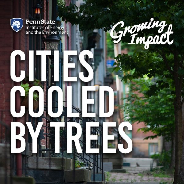 Cities Cooled by Trees