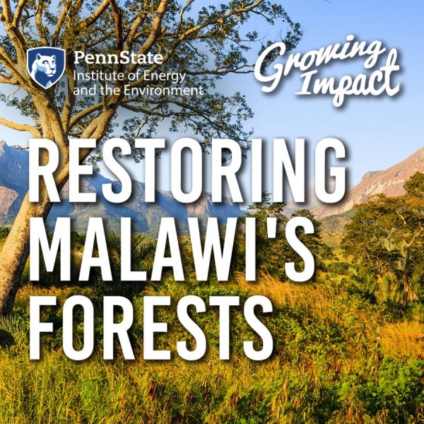 Growing Impact Restoring Malawi's Forests