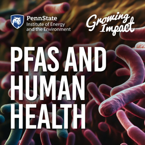 Penn State Institute of Energy and the Environment: Growing Impact: PFAS and human health