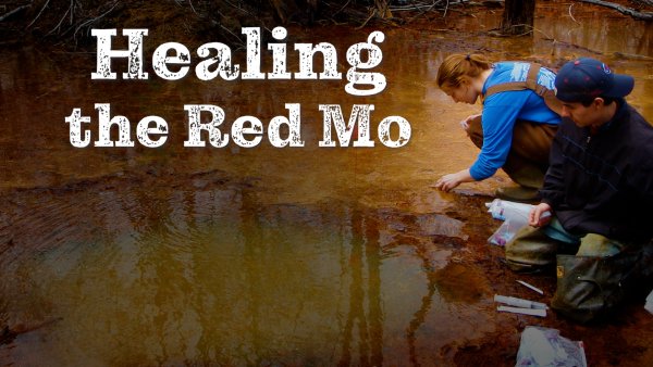 Healing the Red Moshannon: The Toxic Legacy of Acid Mine Drainage | Red Moshannon Creek