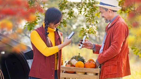 High-speed internet linked to more farms offering agritourism | Penn State University