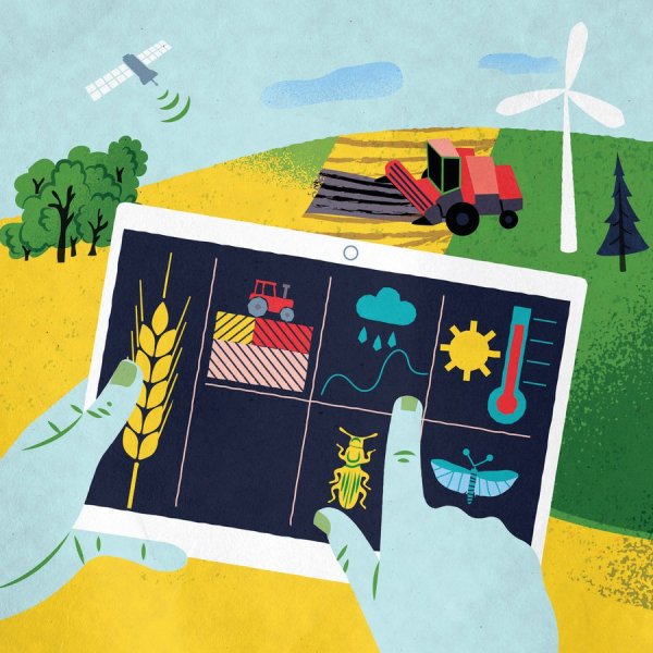A Holistic Approach to Solving Problems (Ag Science Magazine)