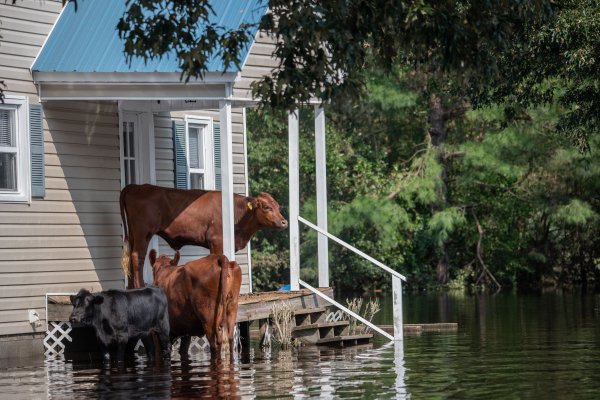 Homes in flood-prone areas should be getting cheaper. They're not.