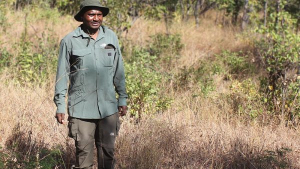 Lack of food — not money — drives poaching in East African national parks | Penn State University