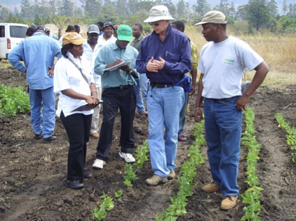 Distinguished professor in plant nutrition retires after long, impactful career