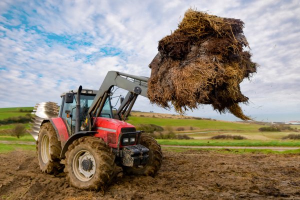 Manure (Yes, You Read That Right)