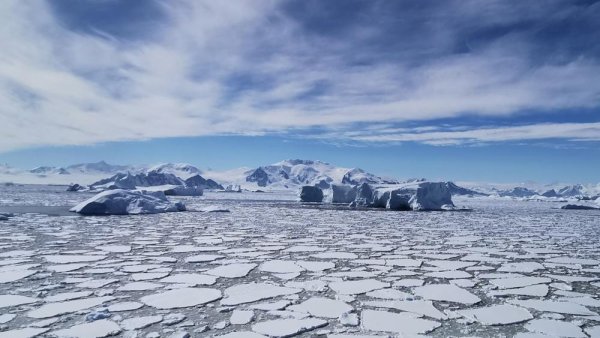 Melting ice falling snow: Sea ice declines enhance snowfall over West Antarctica | Penn State University