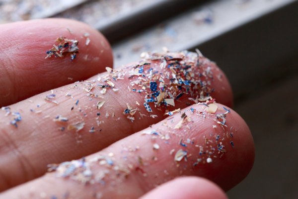 Microplastics on a human hand and fingers