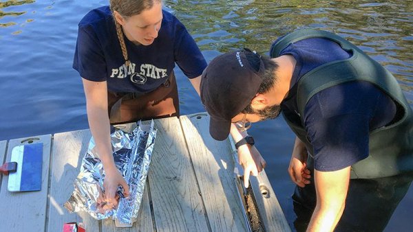 Microplastics increasing in freshwater, directly related to plastic production | Penn State University