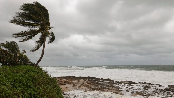 Models said we'd see fewer but stronger hurricanes. Were they wrong?