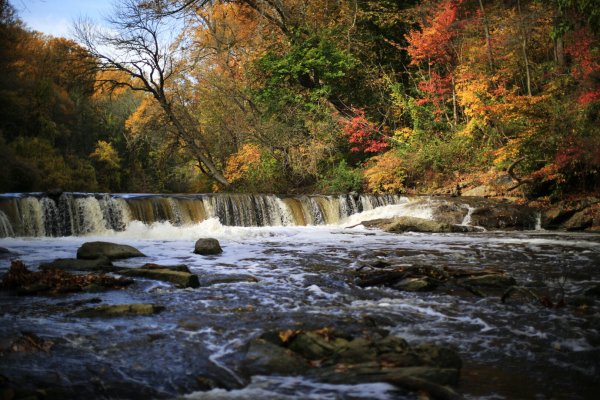 More than 70% of Pennsylvania rivers, streams contain PFAS | StateImpact Pennsylvania