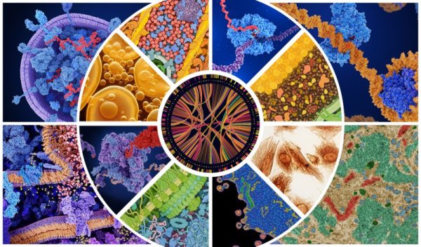 New center supported by NSF will catalyze data-driven insights in molecular and cellular biosciences