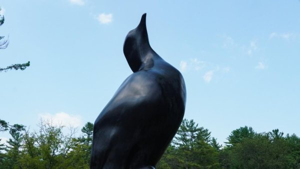 New sculpture installation highlights bird extinction, conservation efforts | Penn State University