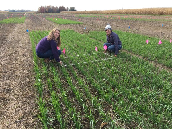 No-till production farmers can cut herbicide use, control weeds, protect profits | Penn State University