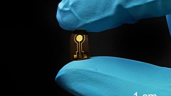 Novel implantable sensor sniffs out possible signals of osteoarthritis  | Penn State University