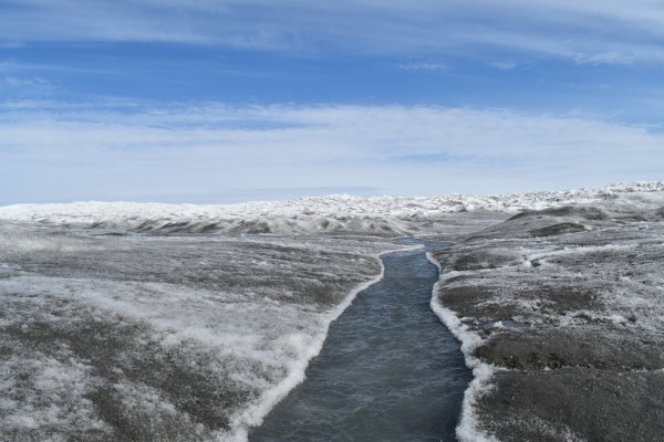 Dust and algae darken the Greenland ice sheet