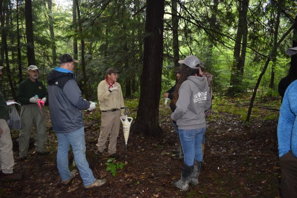 Penn State DuBois students get hands-on experience protecting PA state tree | Penn State University